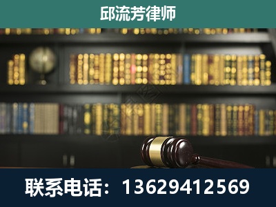 阆中-经济类案件